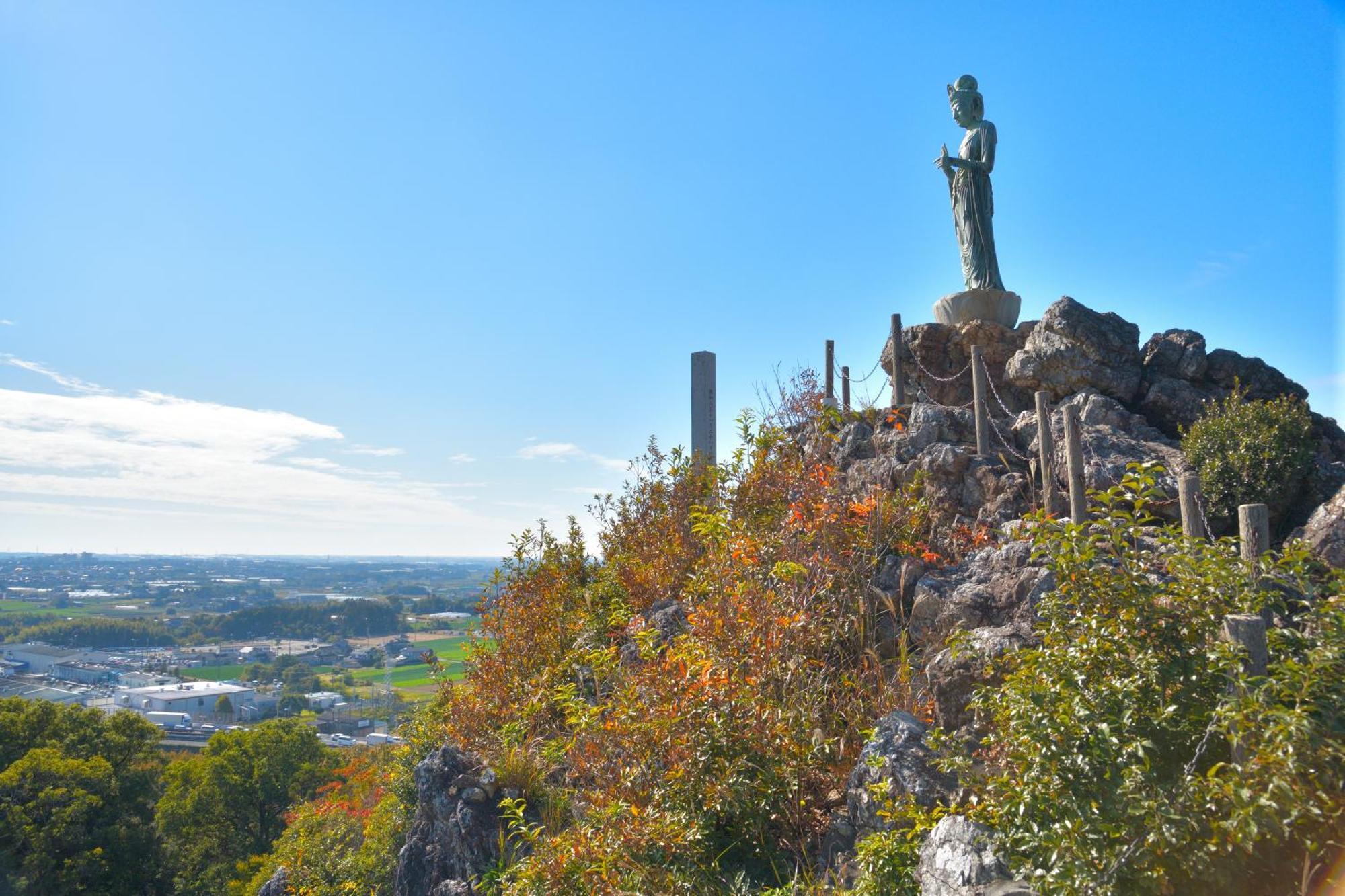 Hotel Associa Тоёхаси Экстерьер фото Statue of the Buddha on Mount Takami